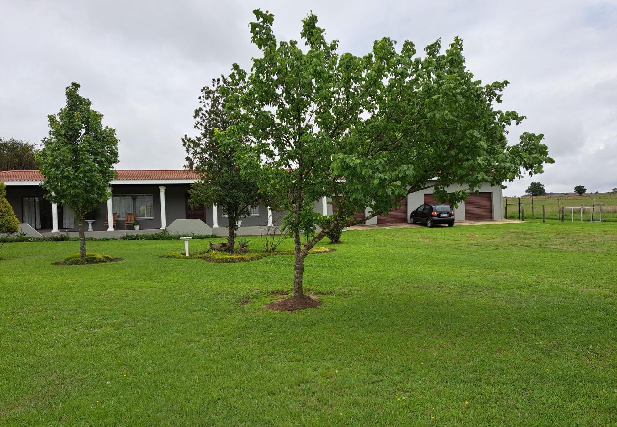 Mountain View Guest House Dundee Exterior photo